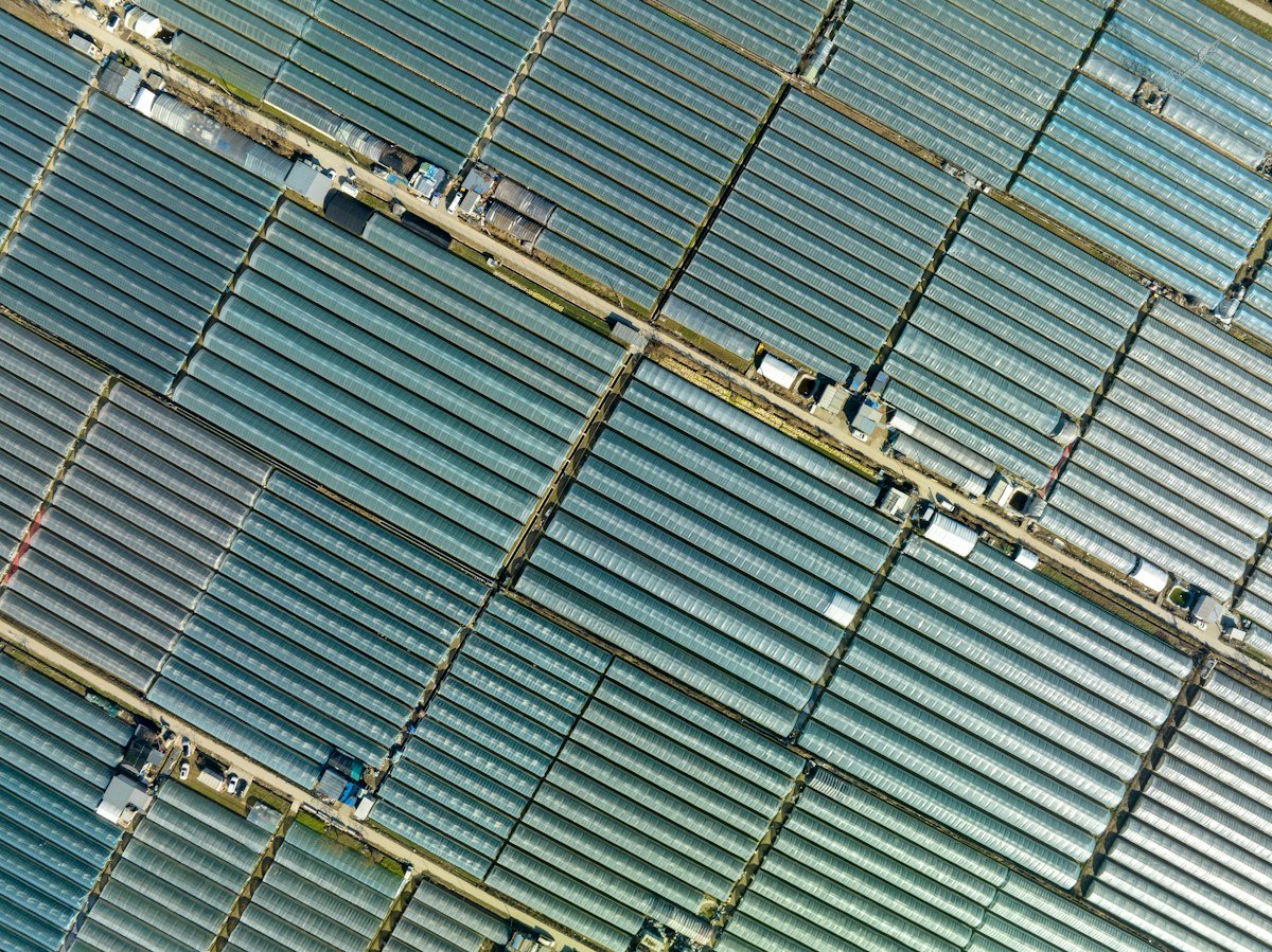 Repeating rows of glass-roofed structures photographed from above